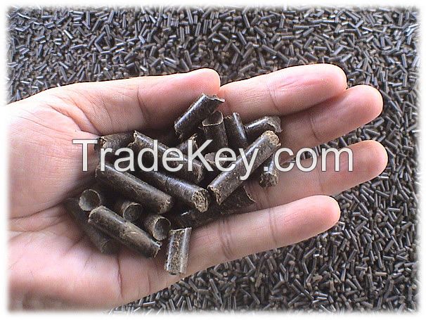 Bagasse Pellet