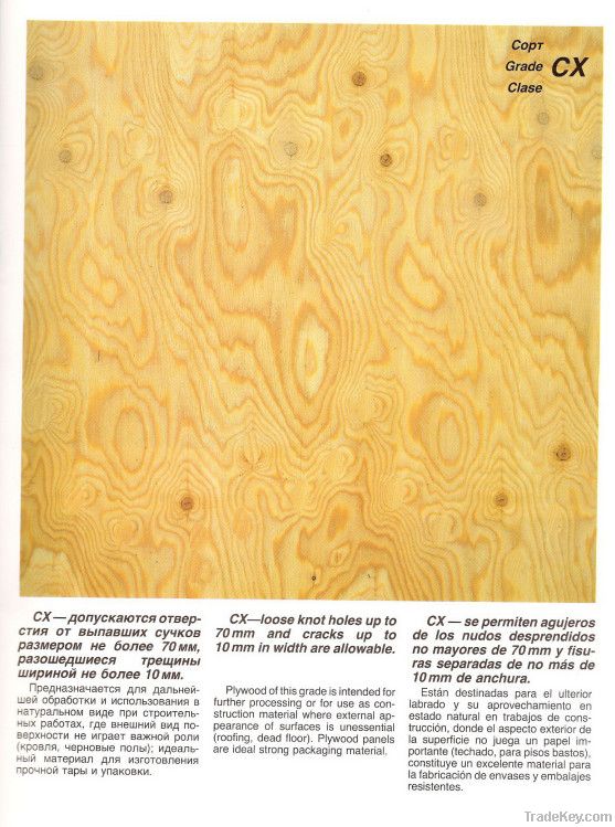 russian birch plywood timber film face