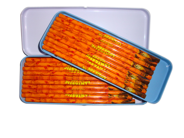 Metal pencil box