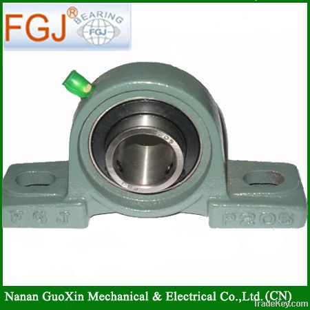 China bearing ucp205