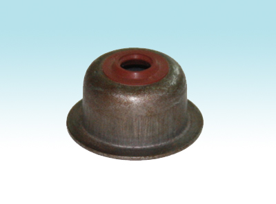 Oil seal