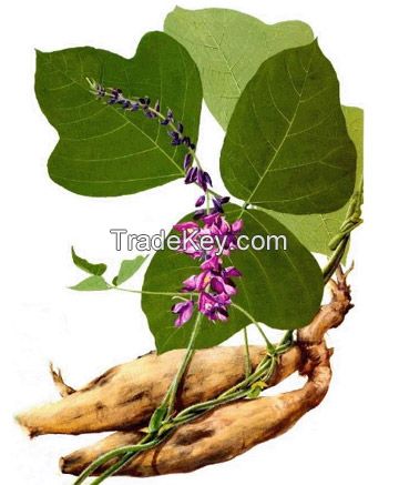 Pueraria Flavonoids