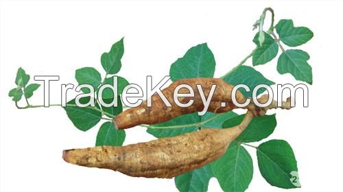 Pueraria Flavonoids