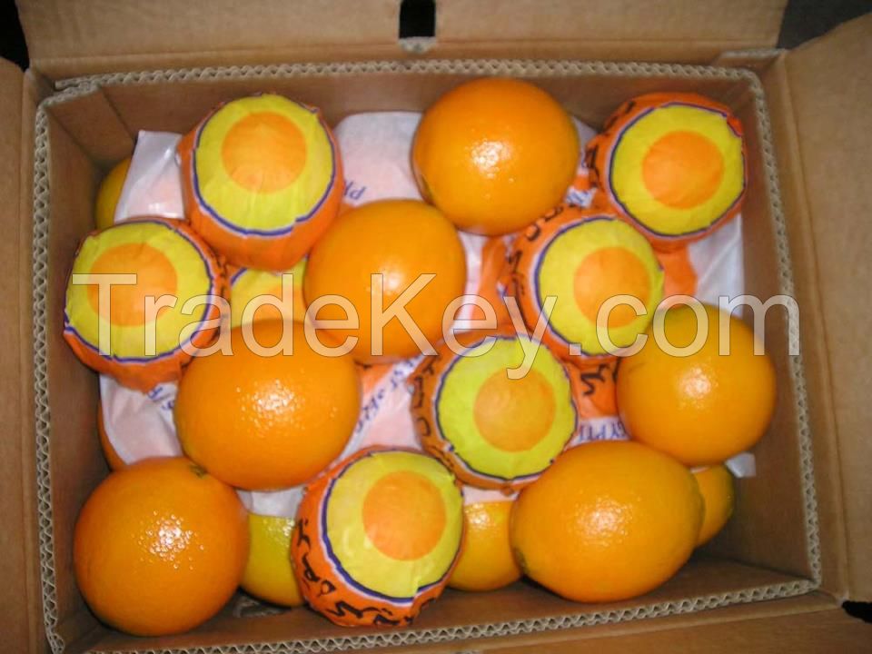 Fresh Navel Orange