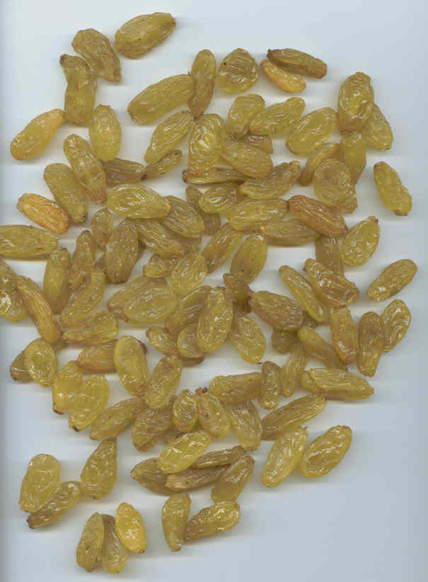 Golden Raisins