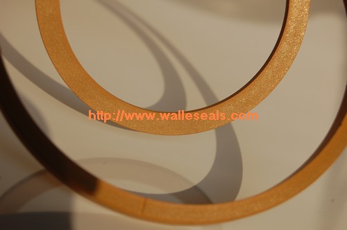 PTFE filled with Bronze Seal