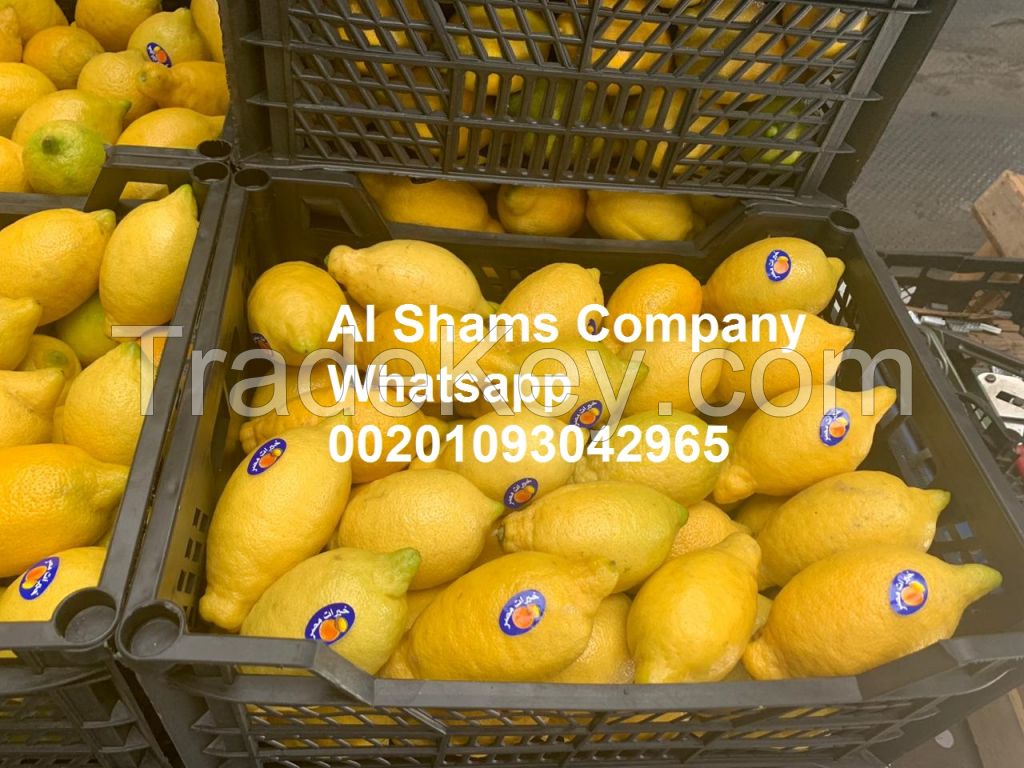 Fresh Lemons