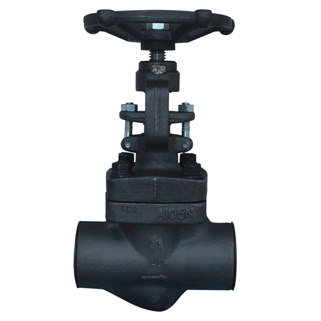 Globe Valve