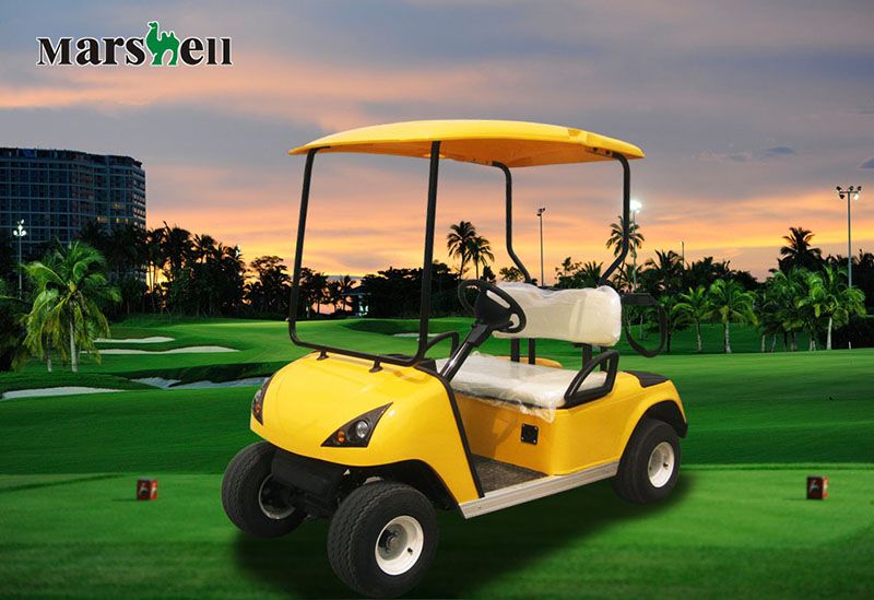 Suitable prices electric golf car DG-C2 for sale with CE certificate from China