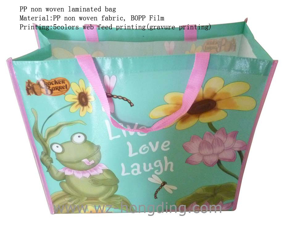 2011 Green PP Non Woven Shopping Bag