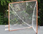 Lacrosse Net