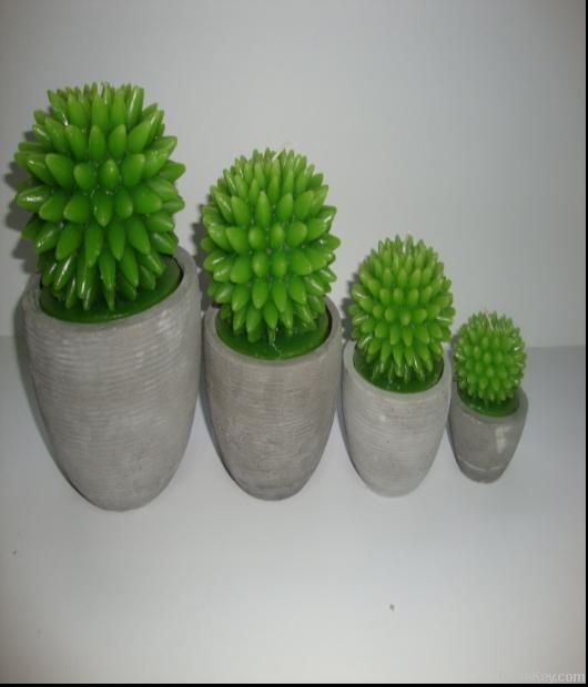 cactus plant flower paraffin wax candle with cement candle holder