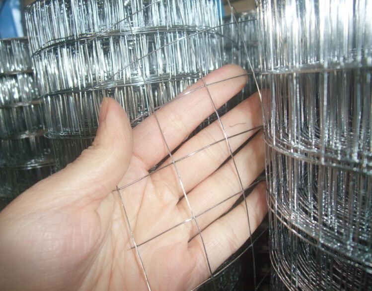 metal wire mesh, iron wire mesh, welded wire mesh