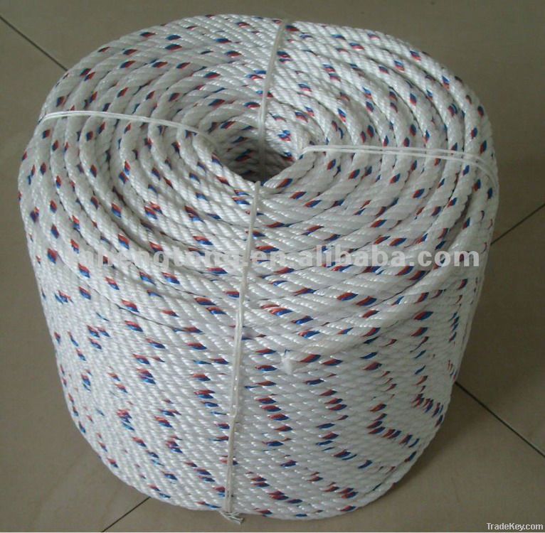 PP DANLINE ROPE