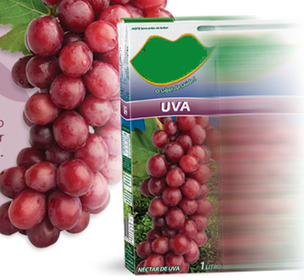 Grape Juice fruit