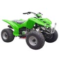 ATV Pocket Bike