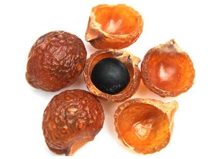 Soapnut extract