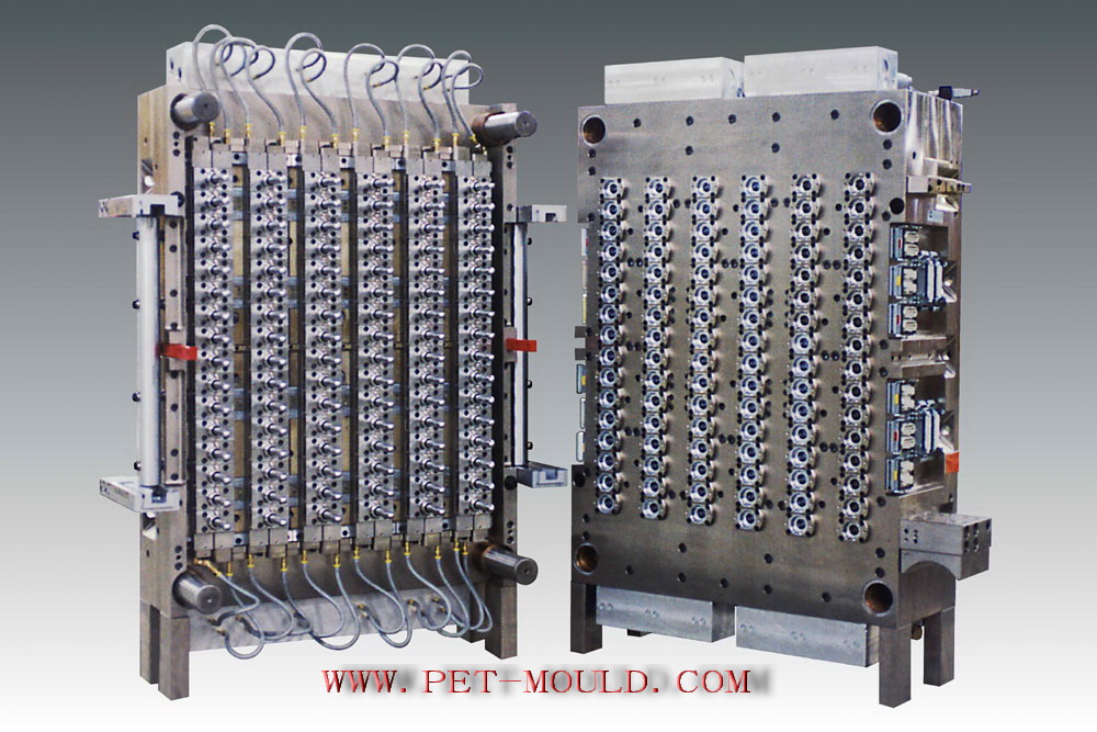 Pet Preform Mould