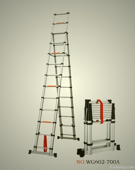 Ladder