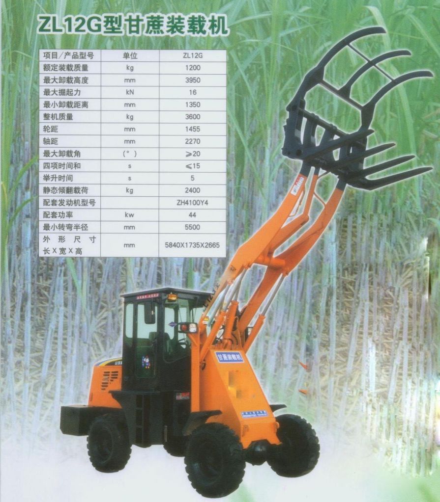 Sugarcane loader