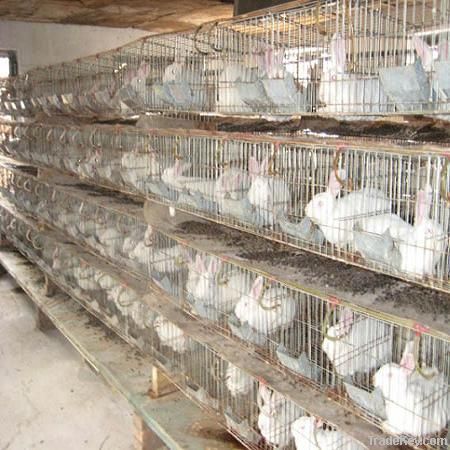 Commercial Rabbit Cage