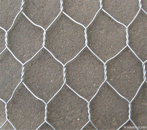 Hexagonal wire mesh