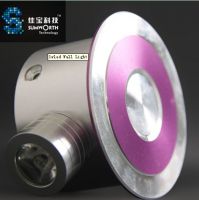 LED Wall Light