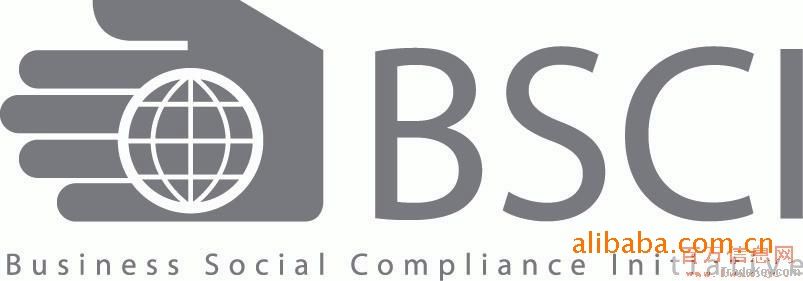 BSCI AUDIT CONSULTING