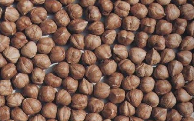 Hazelnut Raw Kernels