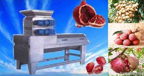 Pomegranate Peeling and processing  Machinery 008615238618639