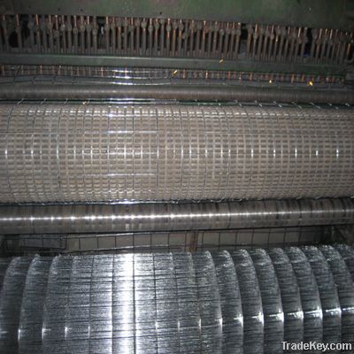 Welded Wire Mesh