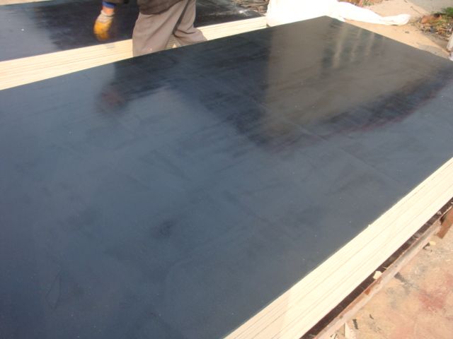 Film Faced Black Plywood with coating