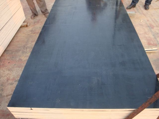 Film Faced Black Plywood with coating