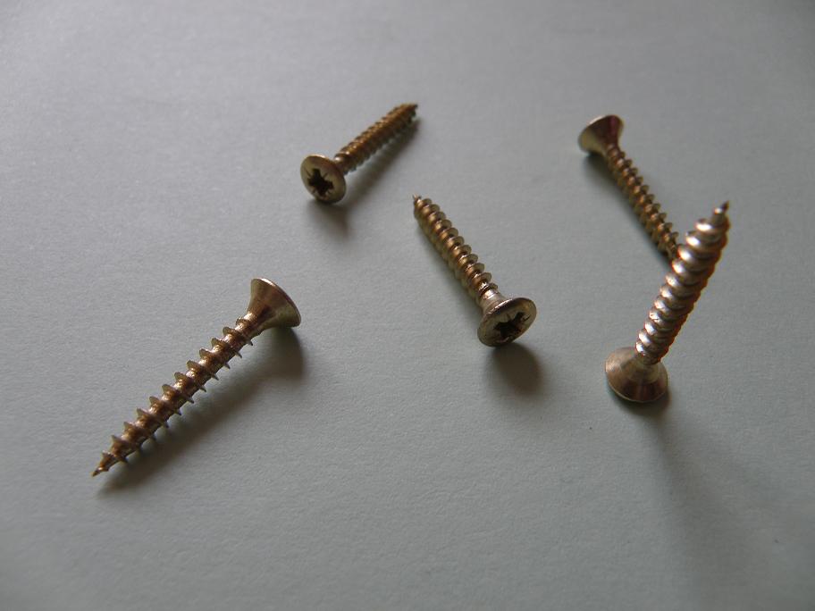 Self Tapping Screw