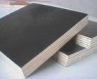 Shuttering Plywood