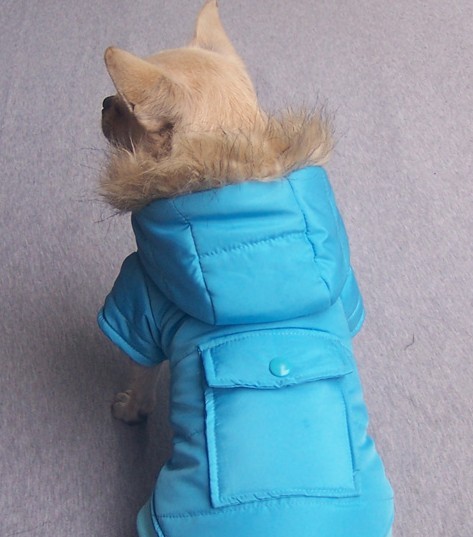 pet wadded jacket