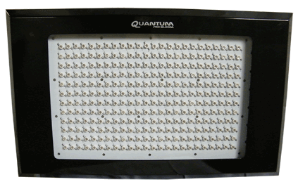 600W Quantum Pro-Bloom LED Grow Light