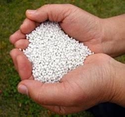 High Quality Urea