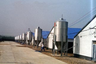 hopper bottom steel silo