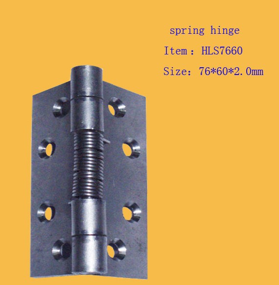 stainless steel spring hinge