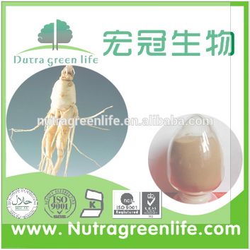 Panax Ginseng Extract