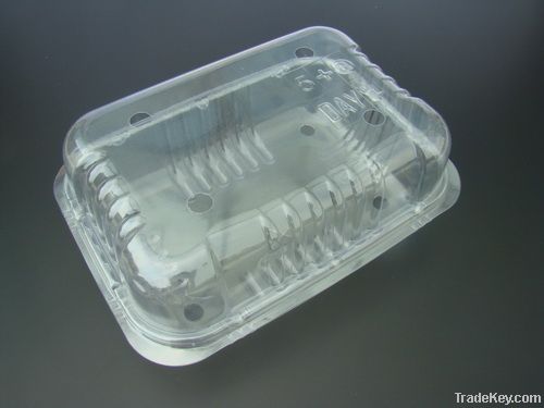 plastic fruit container