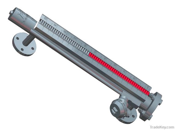 Magnetic Level Indicator