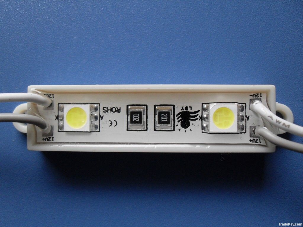 led module(2lamps)