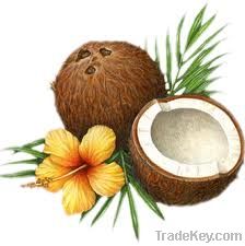 Coconut Oil