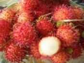 Rambutan