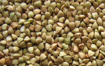 Buckwheat