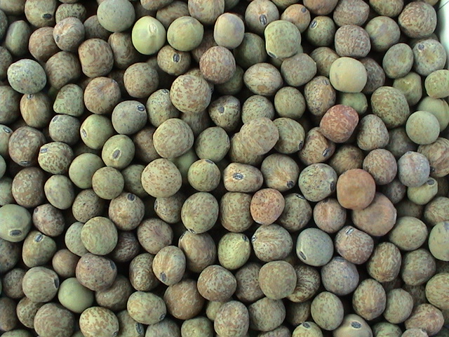 Yellow Peas, dun peas, green peas
