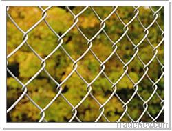 Wire Mesh