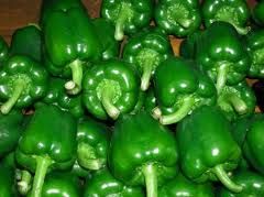 capsicum